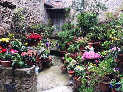 Tuscan village tuscany flowers