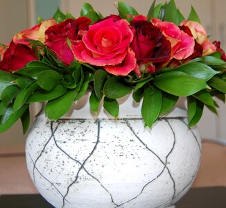 Floral plant