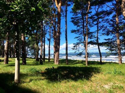 Landscape summer baltic sea