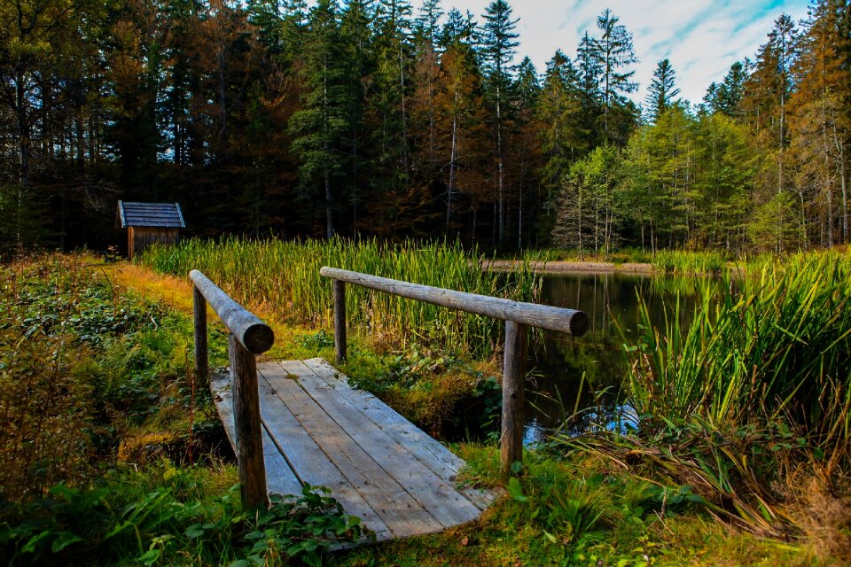 Landscape bridge park