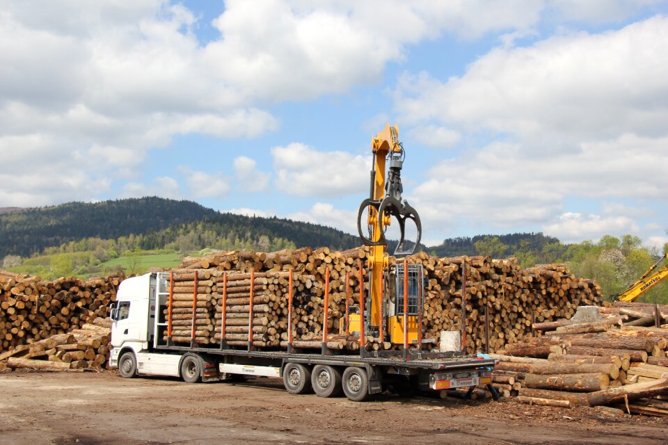 Transport wood logs