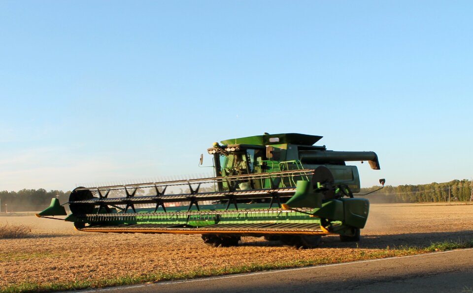 Soybean sunset agriculture photo