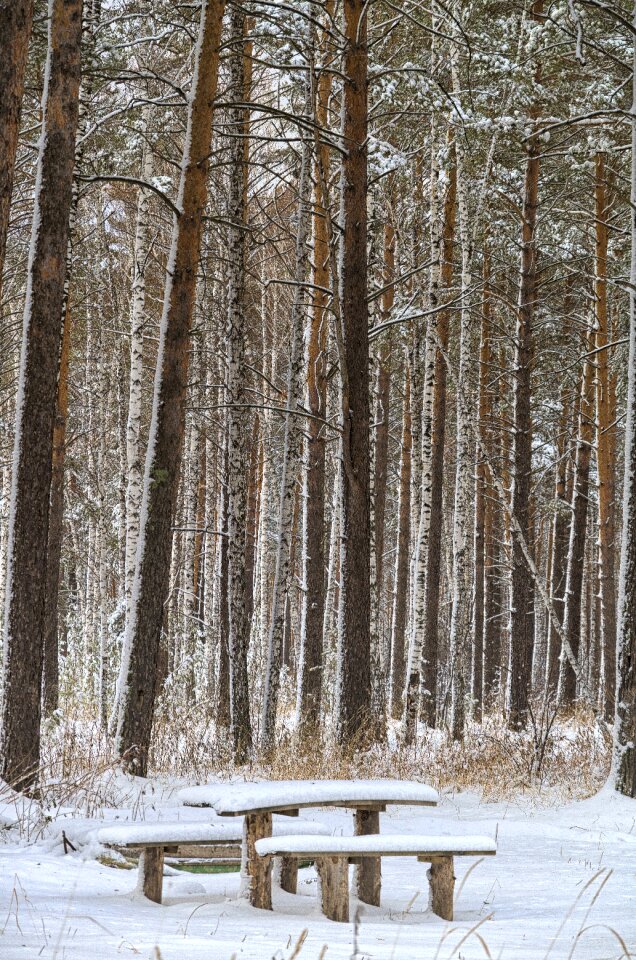 Cold coldly frost