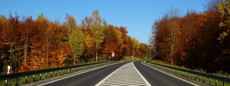 Autumn gold landscape colors