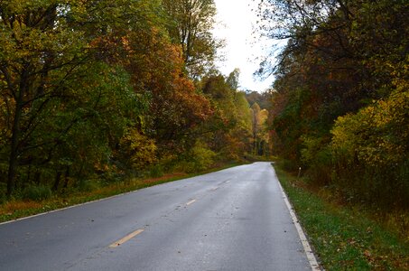 Highway scenic fall photo