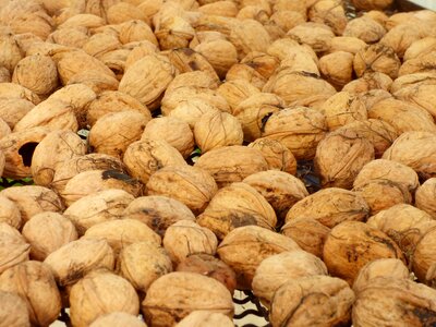 Power dried fruit eat