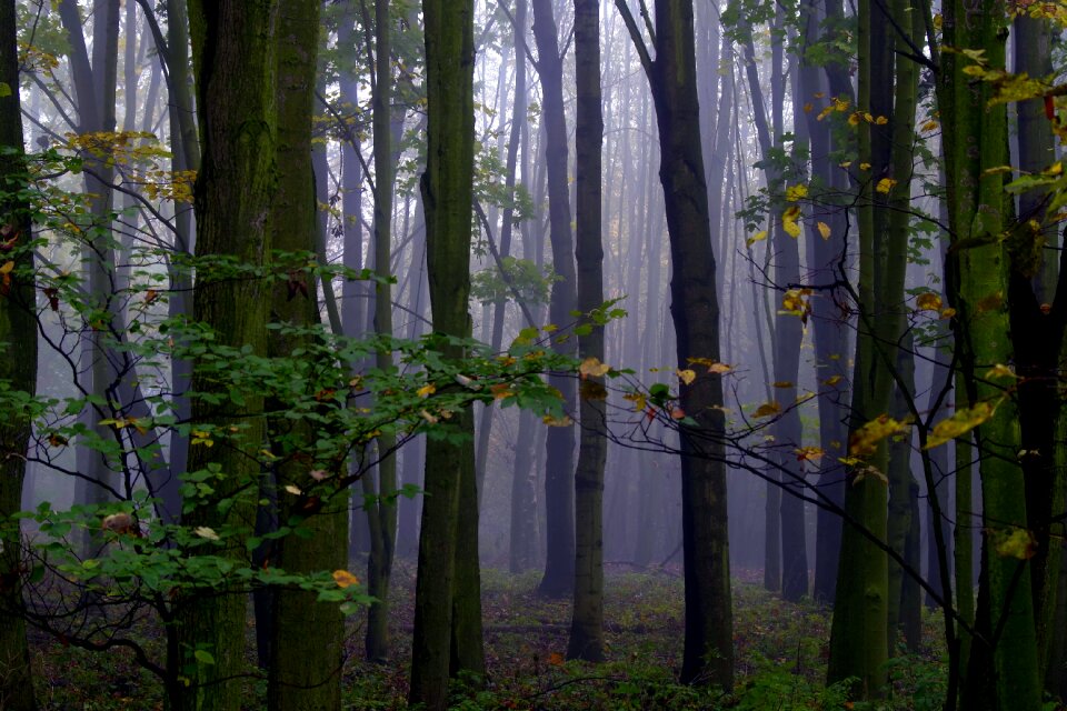 Magical climate autumn