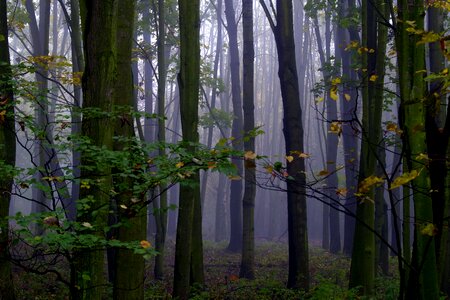Magical climate autumn