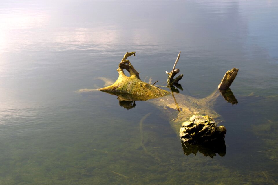 Lonely pond lake
