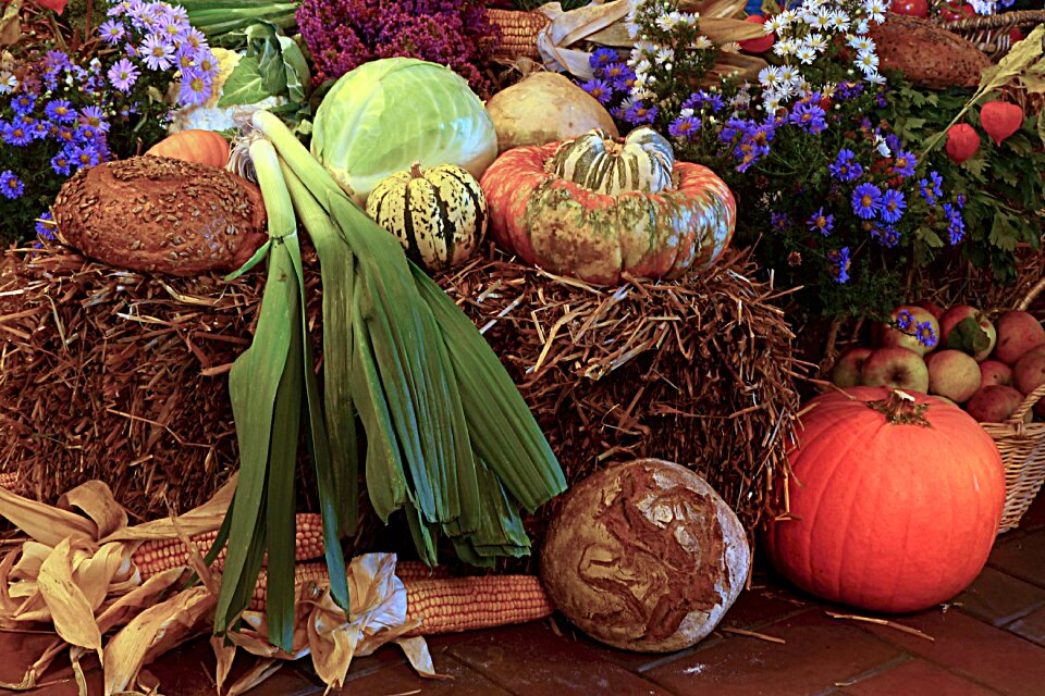 Vegetables bread autumn