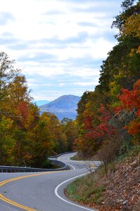 Landscape autumn trees