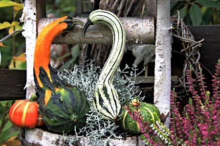 Decorative gourd deco