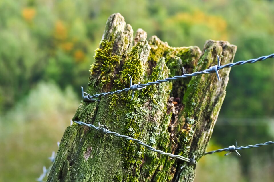 Post fence post wooden posts