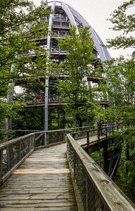 Trees landscape viewpoint