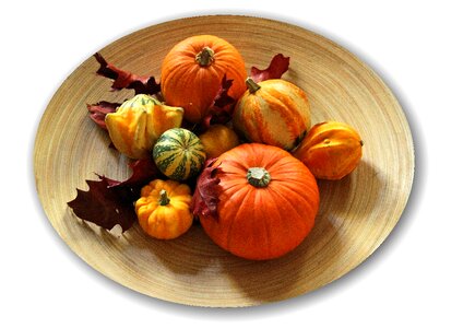 Decorative pumpkin thanksgiving