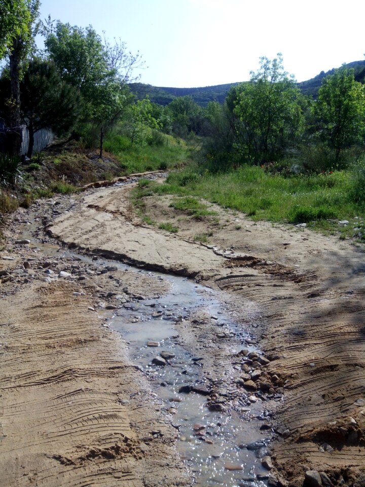 Mountain road mountain forest