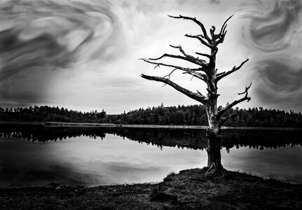 Sky black white