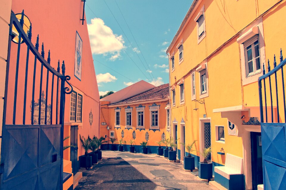 Lane painting house