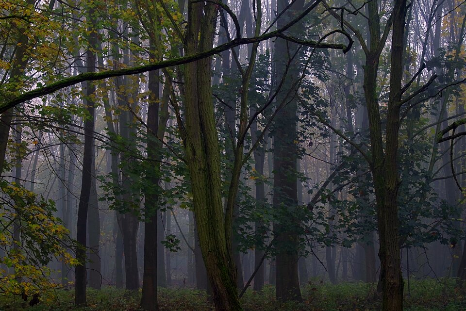 Magical climate autumn