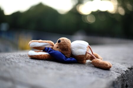 Hare toys teddy bear