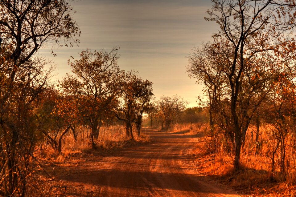 Gravel road safari