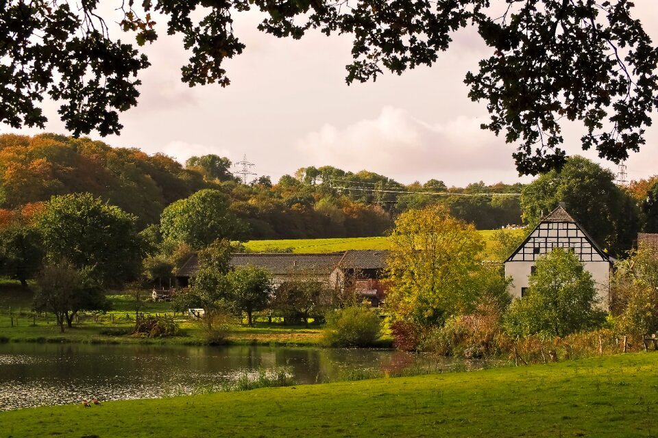 Nature rural idyllic