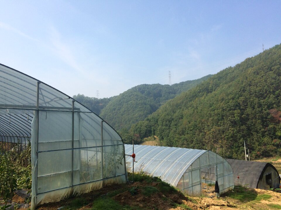 Tranquility farming rural