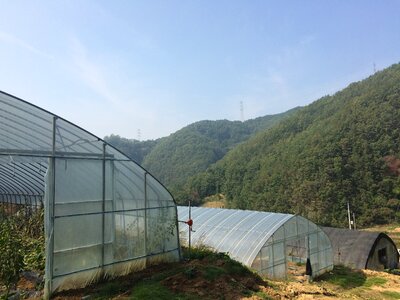 Tranquility farming rural