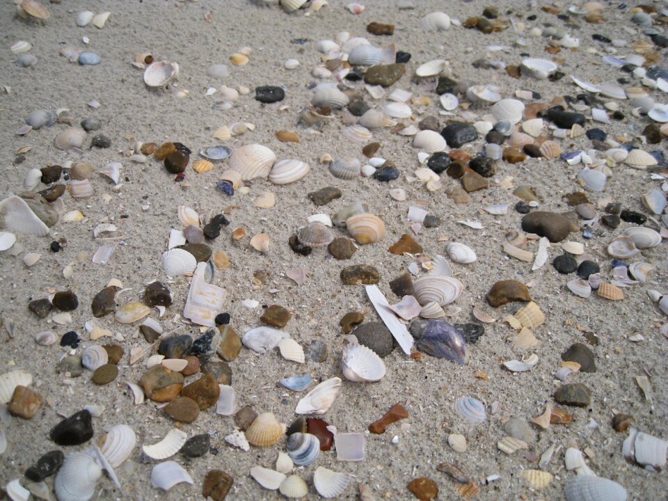 Holiday water edge sandy beach