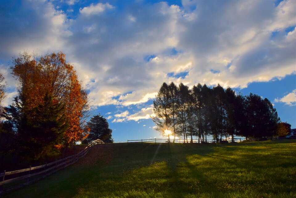 Landscape rural green