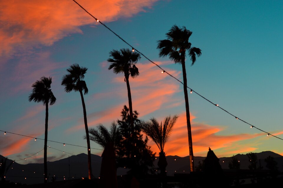 Dusk pinkclouds silhouette