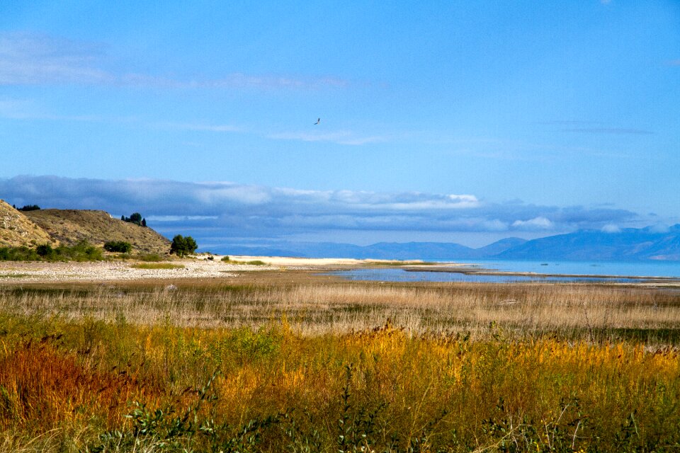 Usa america landscape