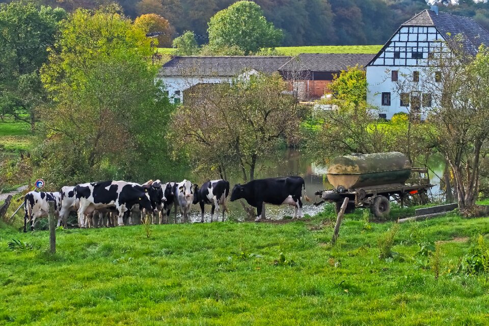 Agriculture meadow farmhouse