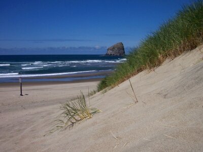 Oregon sand beach rock photo