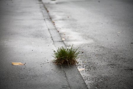 Rain puddles wet