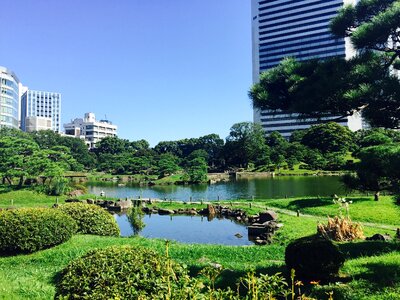 Garden japanese photo