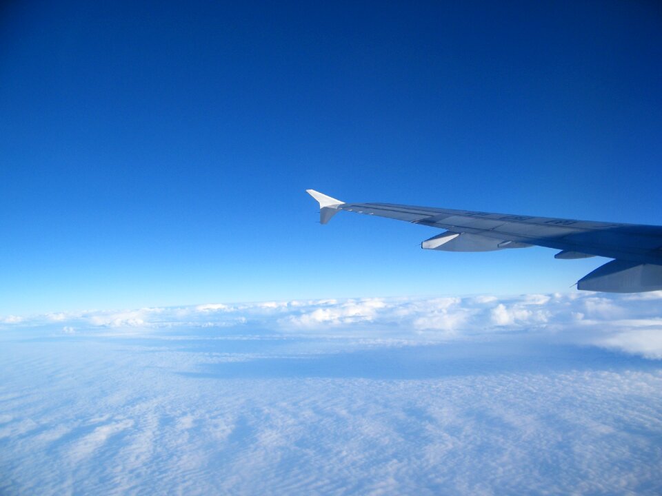 Fly wings flight