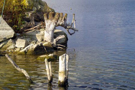 Lonely pond lake