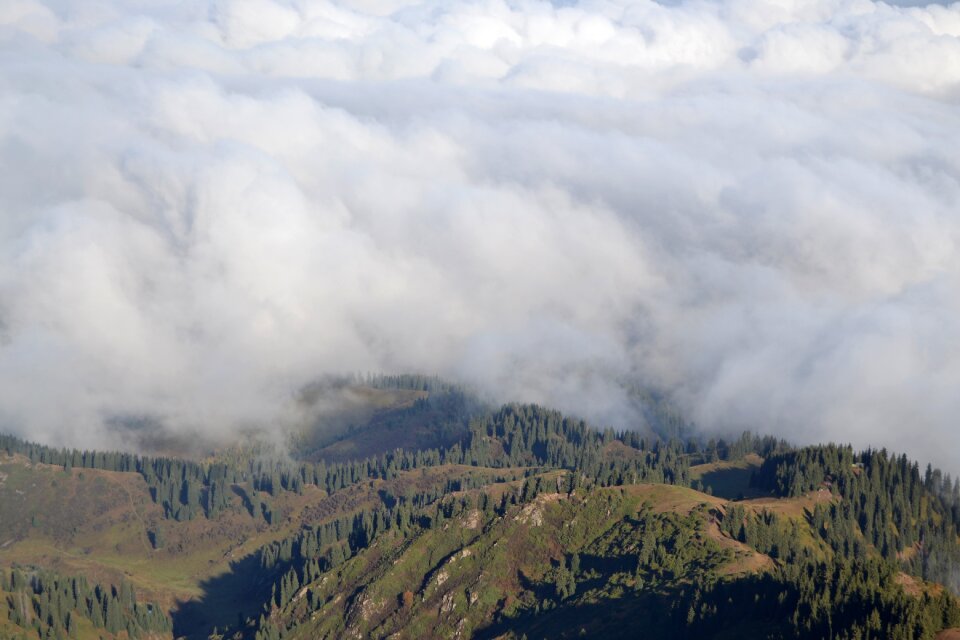 Silence landscape fog