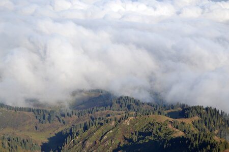 Silence landscape fog