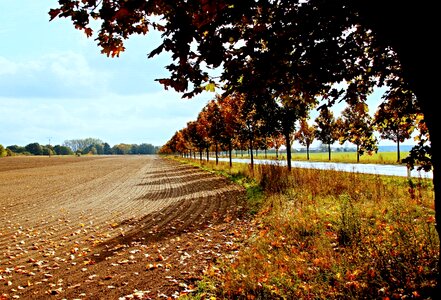 Germany emerge field