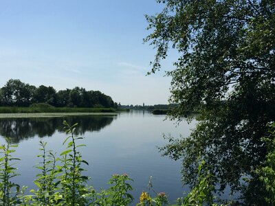 Summer's day tree view