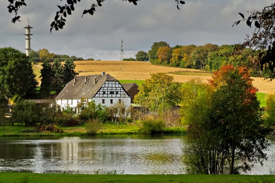 Nature rural idyllic