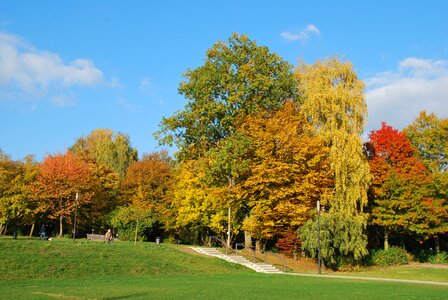 Fall foliage trees color photo