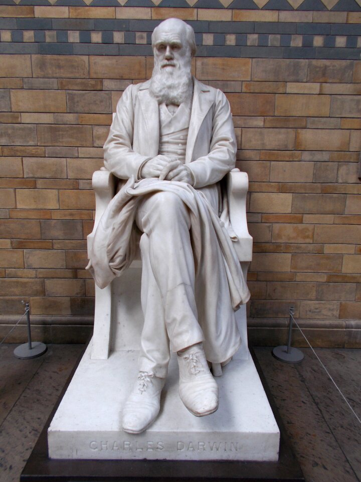 The museum charles darwin monument