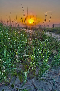 Sunset coast landscape