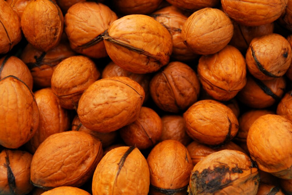 Food walnuts nuts