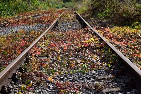 Track train track in autumn
