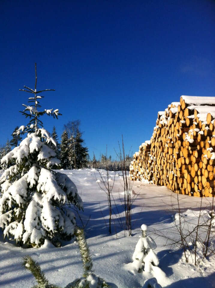 Blue sky finland blue skies