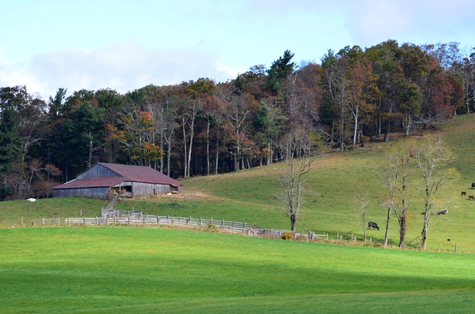 Nature rural countryside